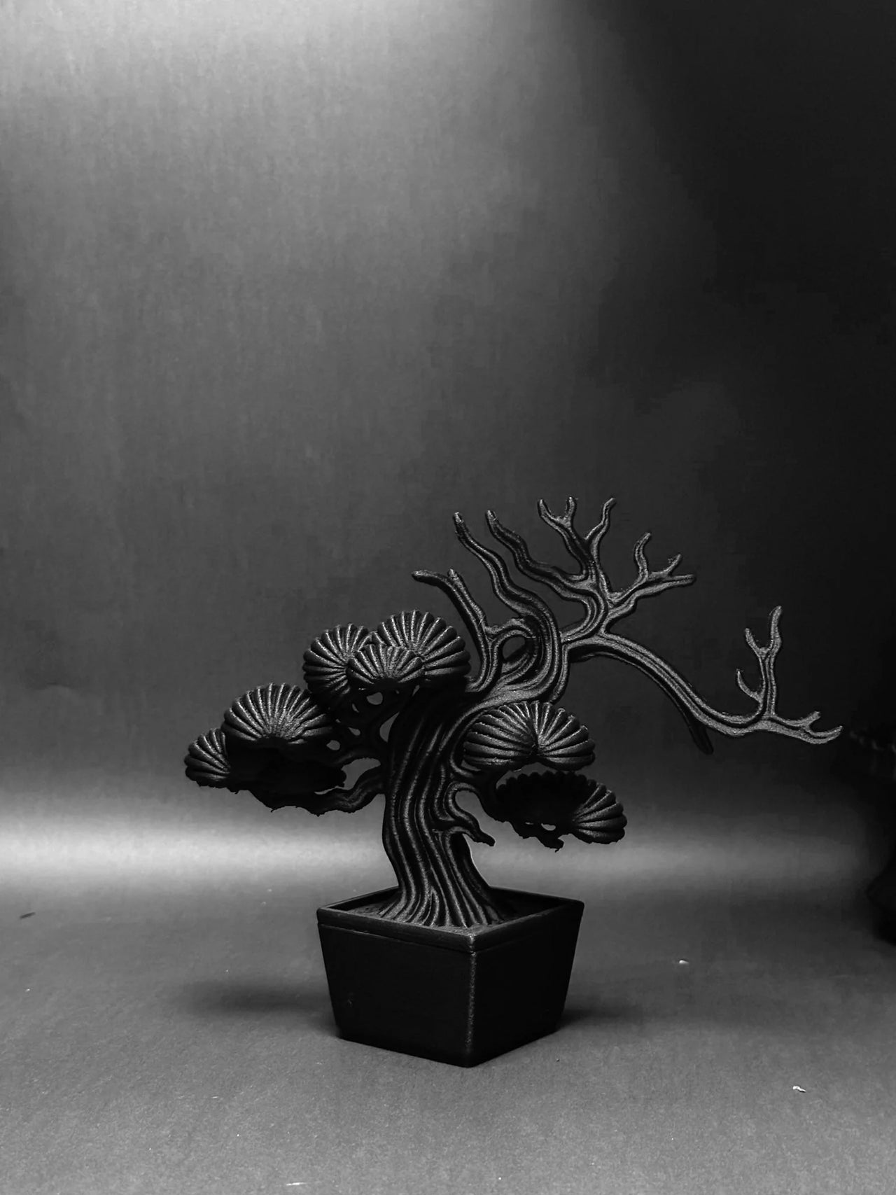 朽根造 - AC-K158 黑·盆系列|靜·柏