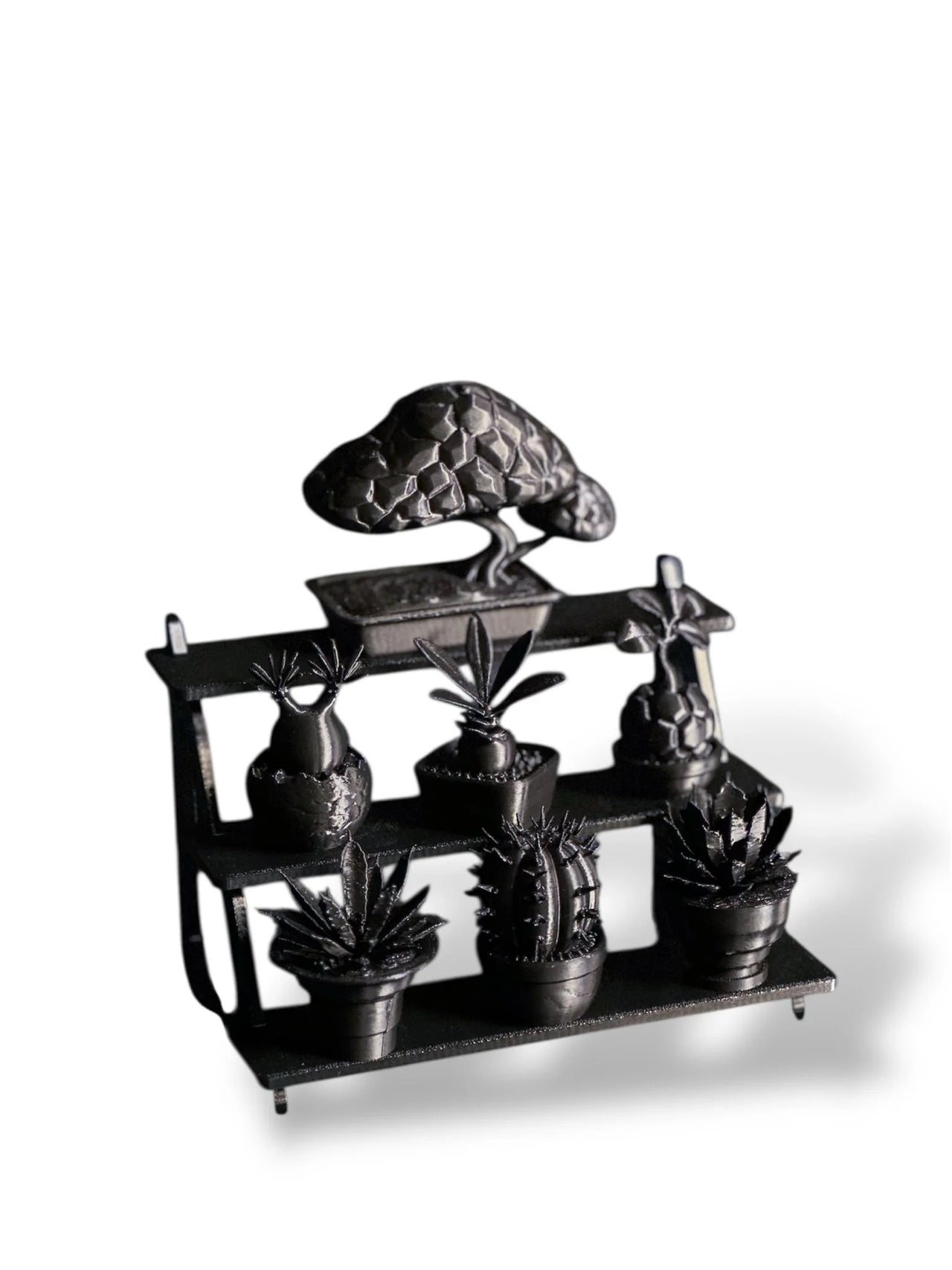 朽根造 - AC-K170 黑·植系列 | 靜物群像展示組