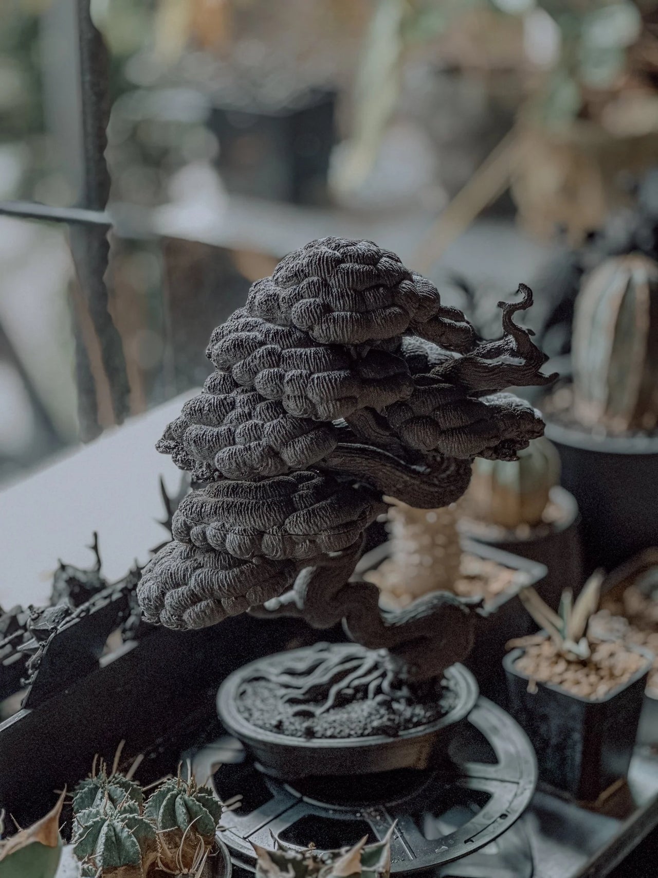 朽根造 - AC-K163 黑·盆系列|穩·曲