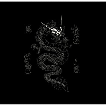 “ 𝗚𝘂𝗯𝗮𝗻 MADE " 龍年限定 龍騰印花 插畫 火焰 寬鬆 重磅 圓領 長袖