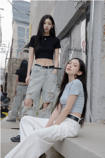 " SIMON " 法式 刺繡 小Logo 短版 上衣