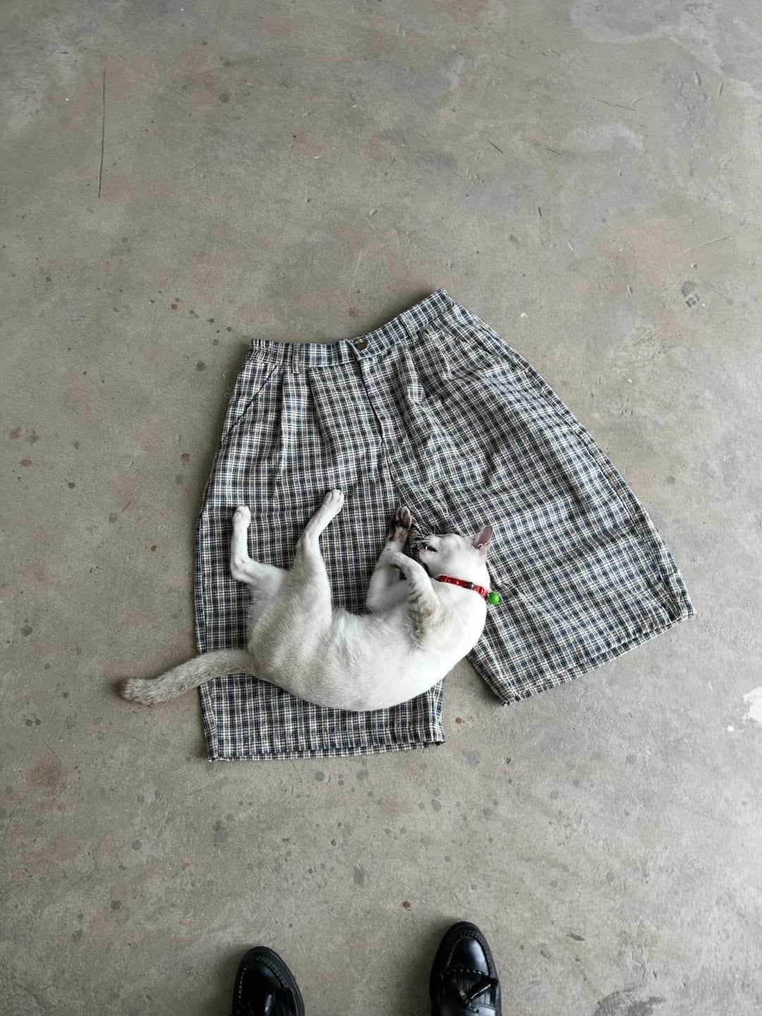 2D2idiots.labe - Plaid Pleated Jorts 格紋打摺七分褲