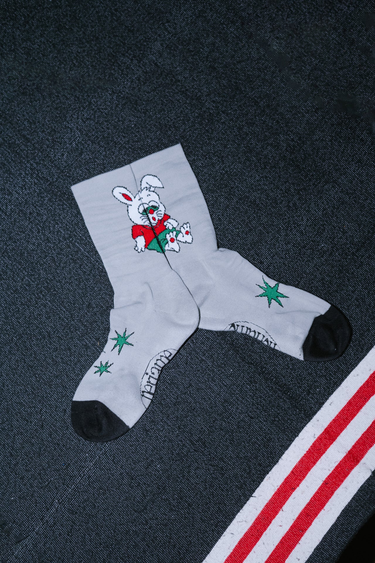 NERIAME - RABBIT SOCKS  AC-N202