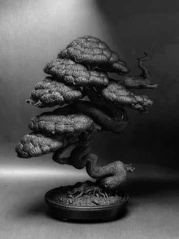 朽根造 - AC-K163 黑·盆系列｜穩·曲