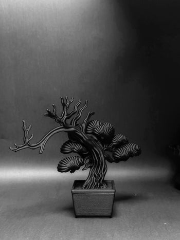 朽根造 - AC-K158 黑·盆系列｜靜·柏