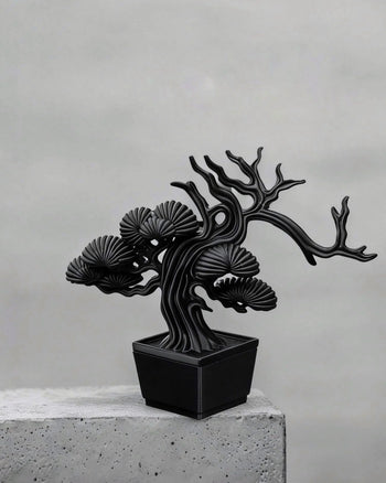 朽根造 - AC-K158 黑·盆系列｜靜·柏