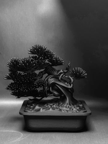 朽根造 - AC-K165 黑·盆系列｜盤·蔵