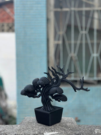 朽根造 - AC-K158 黑·盆系列｜靜·柏