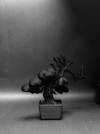 朽根造 - AC-K158 黑·盆系列｜靜·柏