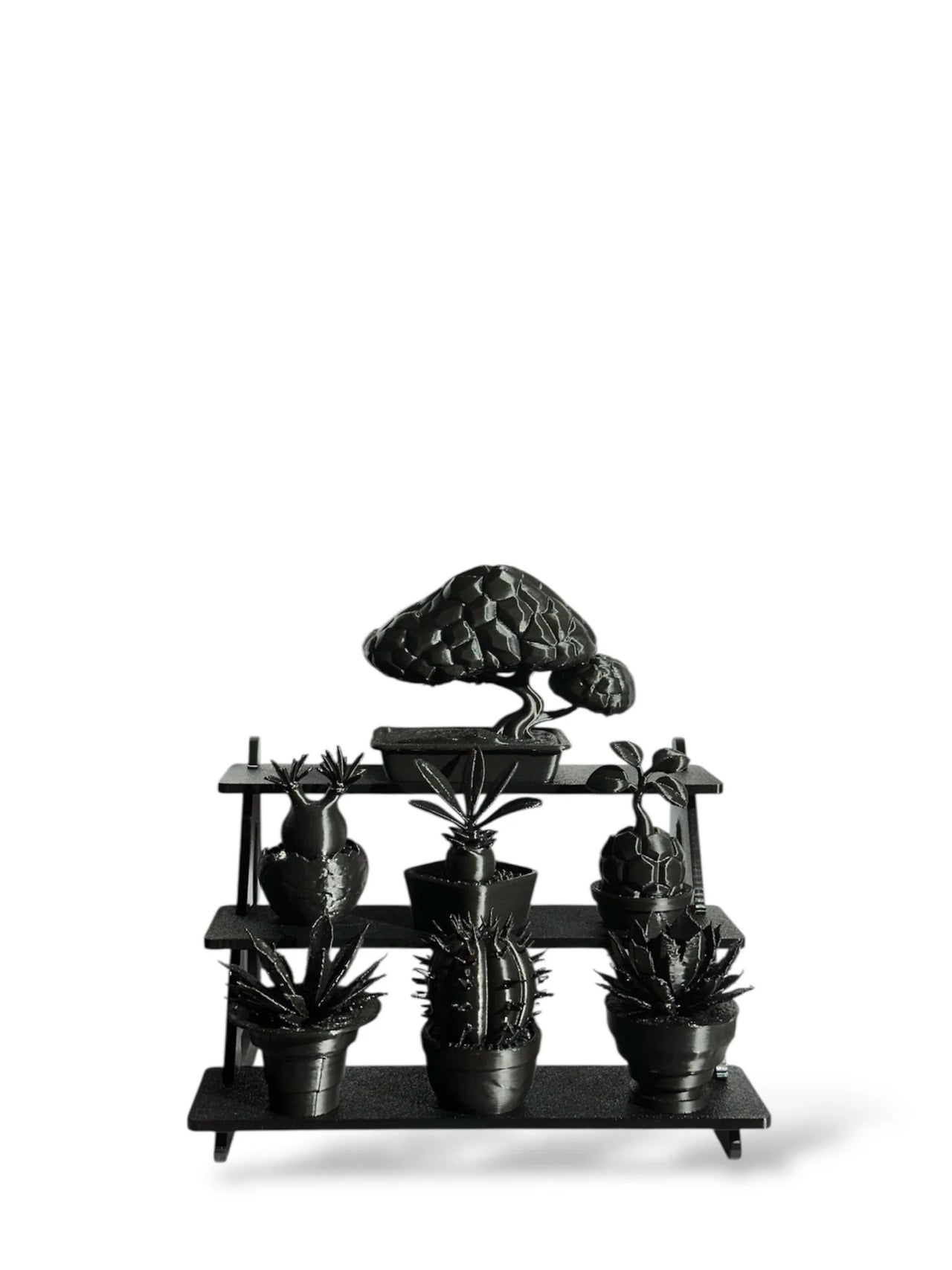 朽根造 - AC-K170 黑·植系列 | 靜物群像展示組