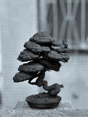 朽根造 - AC-K163 黑·盆系列｜穩·曲